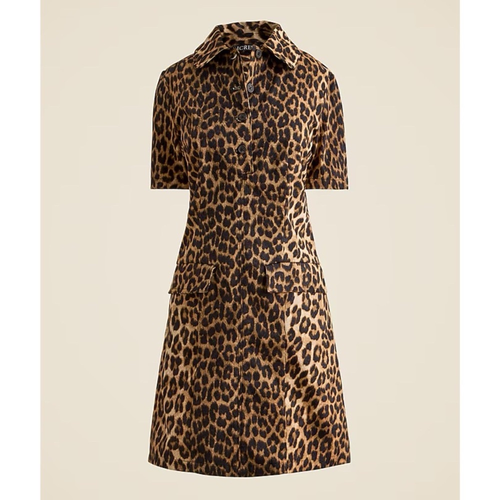 J. Crew Leopard Print Parc Dress